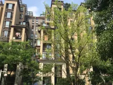 中交丽景香漫岭 4室2厅 东南