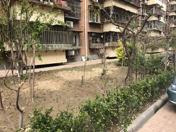 正阳里实景图