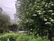 楼层好,位置佳,05年小区,户型方正。小区环境好。