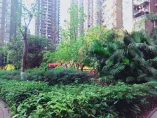 海棠溪 和泓南山道三房