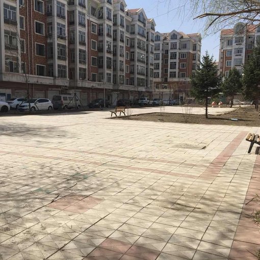  ���⡤����·��԰С��F�� 2��1�� ��/�� 