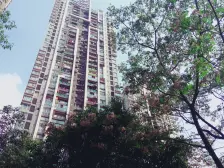 东原锦悦 1室1厅 东南