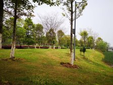 九龙湖西4号线地铁口,低总价看房方便