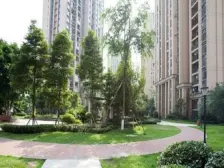 寸滩 启迪协信重庆科技城云麓四房160万