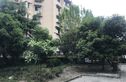 桃浦六村实景图