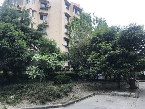 桃浦六村实景图