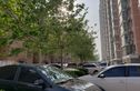 万和峰景实景图