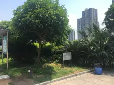 李家沱 上丁跃世界一房