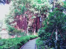 福利社精装小2房,拎包入住,出行方便,配套成熟