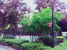 正规三房、户型方正,通风采光很好,拎包入住