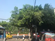 鱼洞 锦上花一房20万