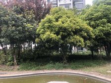 无抵押,满五,现场实勘热销好房