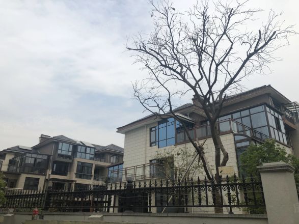旭辉上河郡别墅