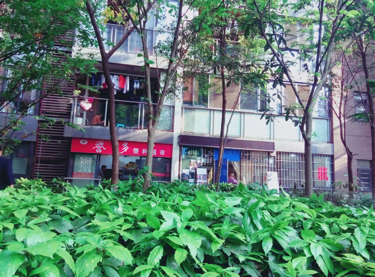 【重庆和泓南山道小区,二手房,租房 重庆房天下