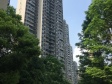 双山 中交丽景香漫岭三房75.1万