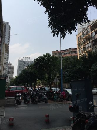 希尔顿阳光实景图