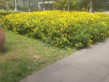 精装单配 采光好 拎包入住 朝向安静