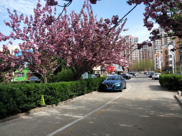 北村小区实景图