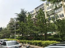 新桥路小区 1室1厅 东 西