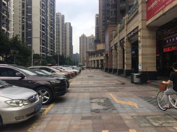 星海岸实景图