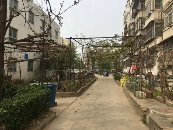 民园小区