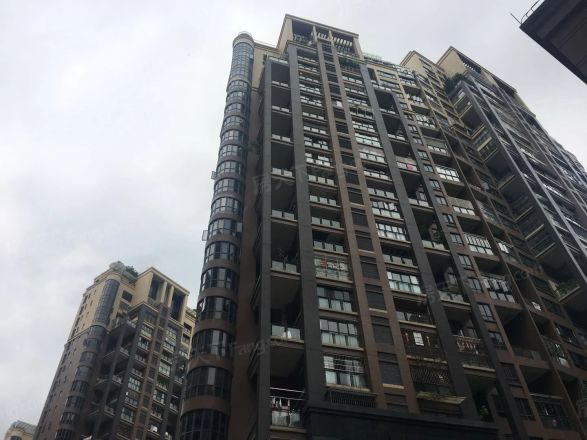 星海岸实景图