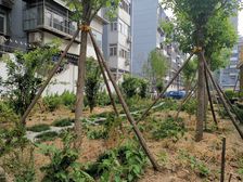 鲁谷村 2室1厅 南 北