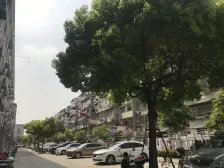 一楼带天井 一梯三户 总价低南北两房 使用面积大