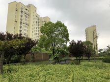 诚意出售,提前预约