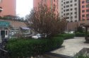 华阳风尚实景图