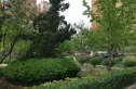 芳古园二区实景图