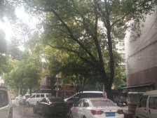 满五年 阳光充足 户型方正 出入便捷