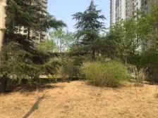 满五唯一~中间楼层~不沿街~靠谱出售