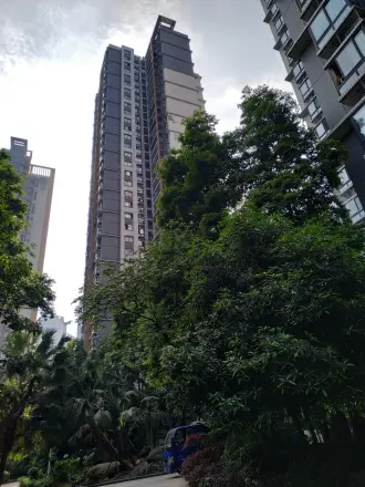 光华风和日丽实景图