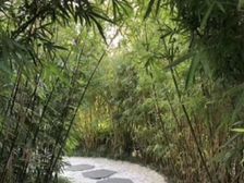 户型好视野宽阔采光好低价别墅