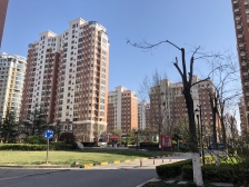 大华上海滩花园 2室1厅 南 北