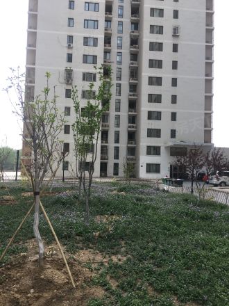 尚城实景图