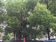 大区主推房源电梯小三房边套户型