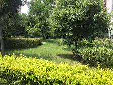 免装修可拎包入住,采光好,保养好