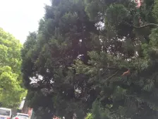 江湾·车站北路565弄·1室·1厅