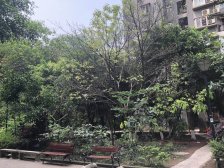 谢家湾 大鼎城市花园二房