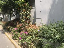 近地铁现场实勘刚需上车,店长力推