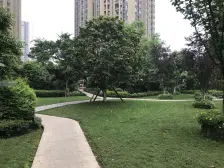 春上南滨精装修两房,随时可以看房,业主诚心卖