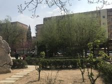 玉桥北里2室1厅东西