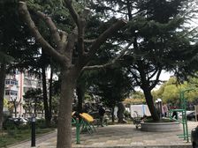 妙境家园3室2厅南北