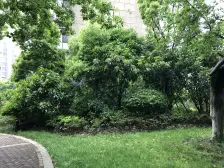 房东急售,得房率高,毛胚装修方便