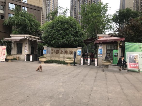 金辉城春上南滨实景图