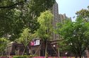 菱洲雅庭实景图