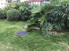 天御香山花园 4室2厅 南