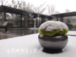 售楼部雪景